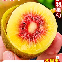 �Ĵ��t�īJ�������r�殐��30ö�b�����Fժ�ѽ�������ˮ���Y������