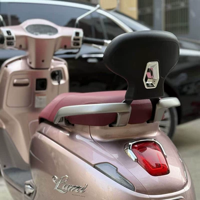 Seat Lumbar Support, Passenger – Motorcycle tail