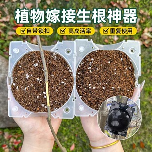 ֲǤ��֦��ֳ��߉���ֳ�޽Ӻл��ܹ���ظ��������緱ֳ��