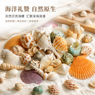 �羳���Nؐ������ �������l�~���쾰 diy�Ĳĺ�������bľ�з