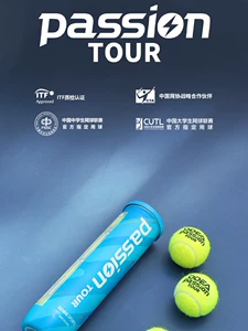ODEA Odier Tennis PassionTOUR мяч для игр под давлением с высоким сопротивлением отскоку для тренировок, 4 банки