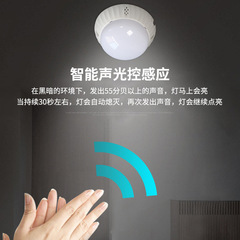 聲控燈led聲光控樓道燈 走廊過道感應燈智能感應聲控吸頂燈點光源
