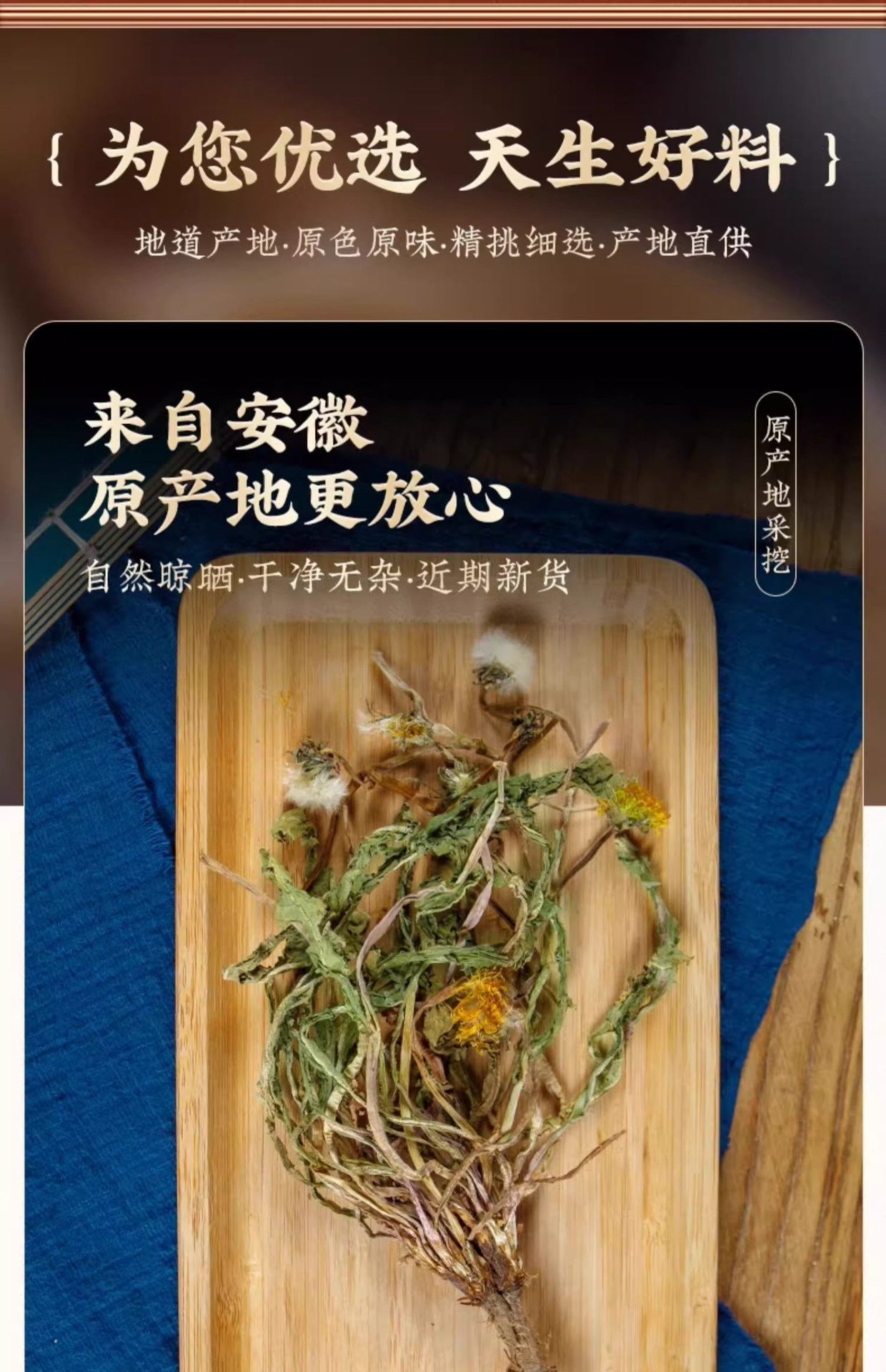 Dried Dandelion Root and Leaf Whole Plant 500g Wild-Harvested Pugongying Herbal Tea Ingredient in use