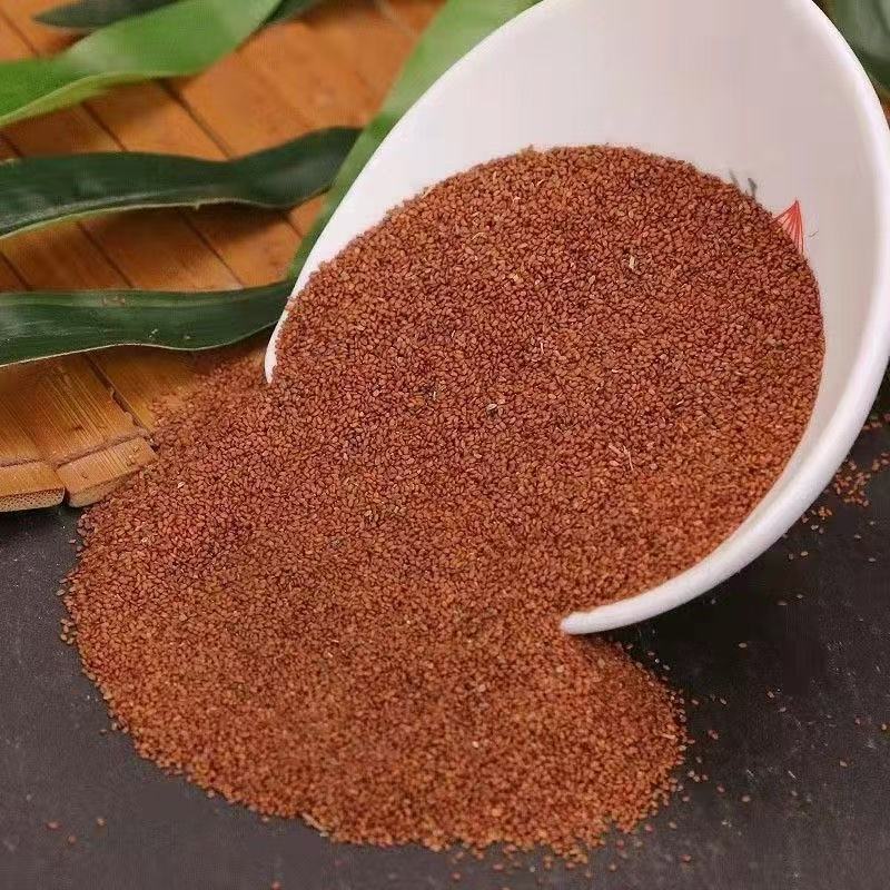 Ting Li Zi (Semen Lepidii) — Dried Descurainia Seed, Food-Herb for Tea & Decoction quality and texture