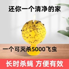 ショウジョウバエのボールの黄色の緑色の箱の箱の虫のボールの粘虫のボールのショウジョウバエのボールの瓜の実のハエの針の蜂の果樹園