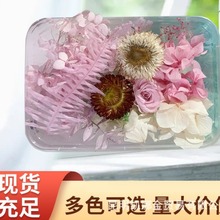 永生花干花diy材料包玫瑰小雏菊绣球花手工diy相框香薰团扇材料包