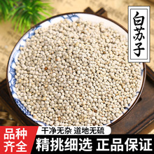 白苏子500g紫苏子籽中药材生熟紫苏籽粉可食用 另售莱菔子白芥子