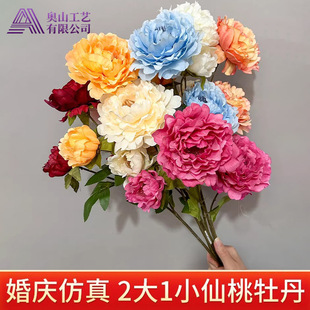 3�^����ĵ����c���滨����·�����Ų廨�ٻ��Ƶ��Y���b���