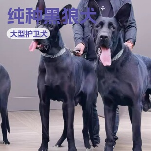 ���N����Ȯ��Ȯ���w���Aī�缃���ǹ����ﾯȮ�o�lȮ���ﹷ�����l