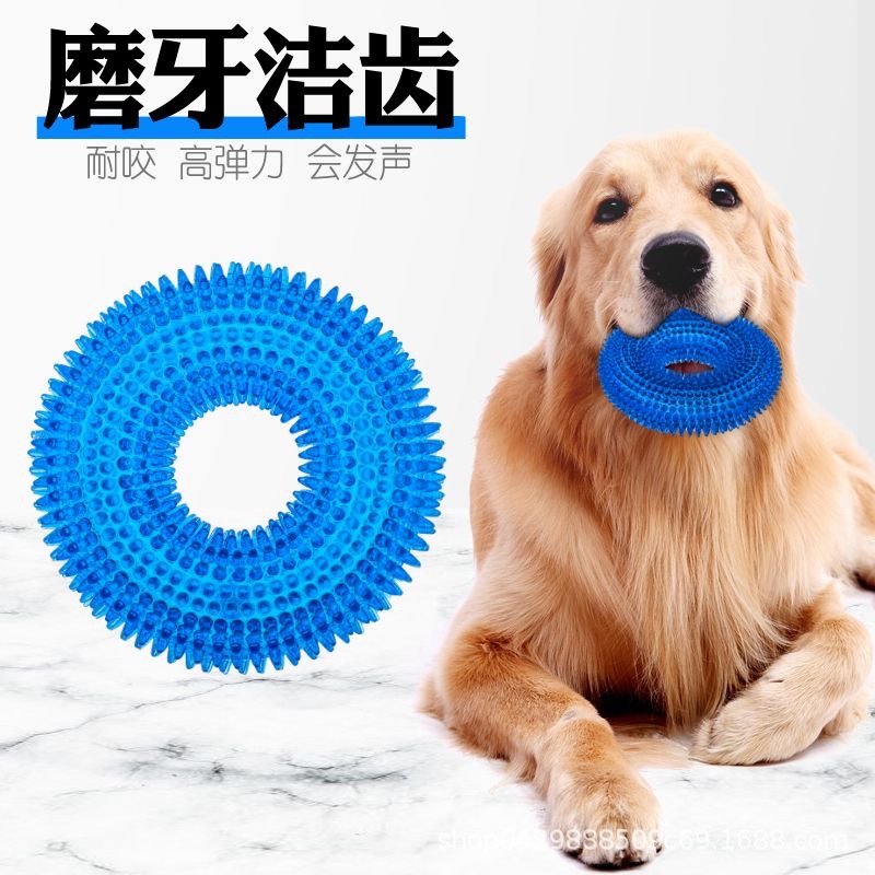 물린 방지 애완 동물 장난감 개 장난감 고무 소리 장난감 가시 반지 골든 리트리버 테디 래브라도 애완 동물 용품