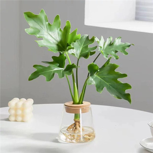 �������漃ˮ��Сֲ��ins�҃ȾG�}���B�k���ҾGֲ������ƿ�lؔ��