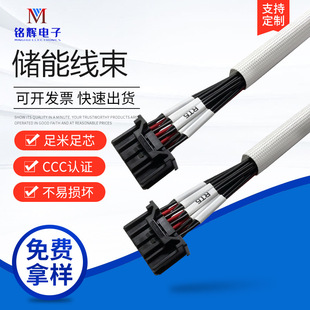 Customized C3030Hp-2*9P Terminal Line Connected to Wtb30-Bw120Hb1-001B Type Home Storage and Industrial Storage Wire Harness