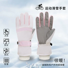 滑雪手套;登山、徒步包;成人手套