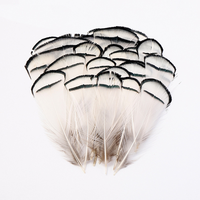 Manufacturer Wholesale Copper Chicken Head Feathers 5-8cm DIY Design White Chicken Feather Accessories Feather Decoration Parts Feather Pieces Manufacturer Wholesale Copper Chicken Head Feathers 5-8cm DIY Design White Chicken Feather Accessories Feather Decoration Parts Feather Pieces