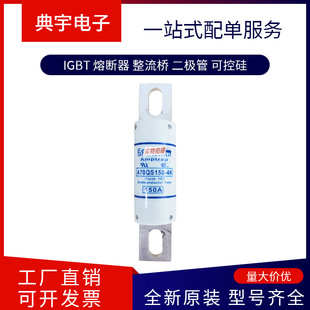 French Fuse A130Ud70Li160 a 300656   A130Ud70Li200 B 300657