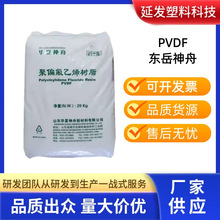 PVDF�|������DS206 DS204��ƫ����ϩ��̼���늳ط�ĩע�ܔD��