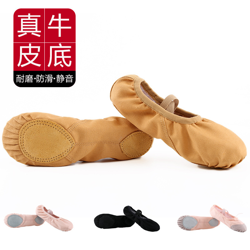 Dance Shoes for Women, Adult Soft-Soled Practice Shoes for Girls, Professional Classical Dance Shoes, Kidsren's Cat Claw Shoes, Camel Color Dancing Shoes