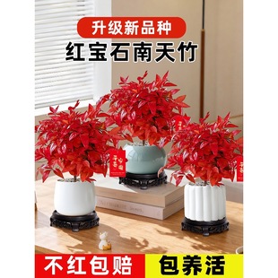 �t��ʯ�����������������ڼt�~�Ϙ��辰�ͺ��͟�ֲ���҃Ȼ��ܾGֲ