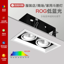 吸顶灯;射灯;筒灯