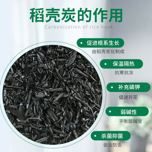 �ĵ���̿�������������ùȚ��N�ˠI�B���ϲ�ľ��⛷�����ˮ����