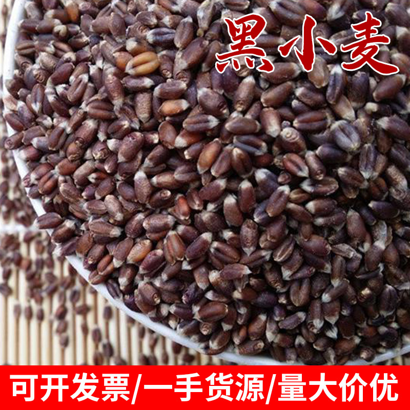 22年农家黑麦黑小麦家用磨面熬粥黑麦米 五谷粗粮黑麦仁批发