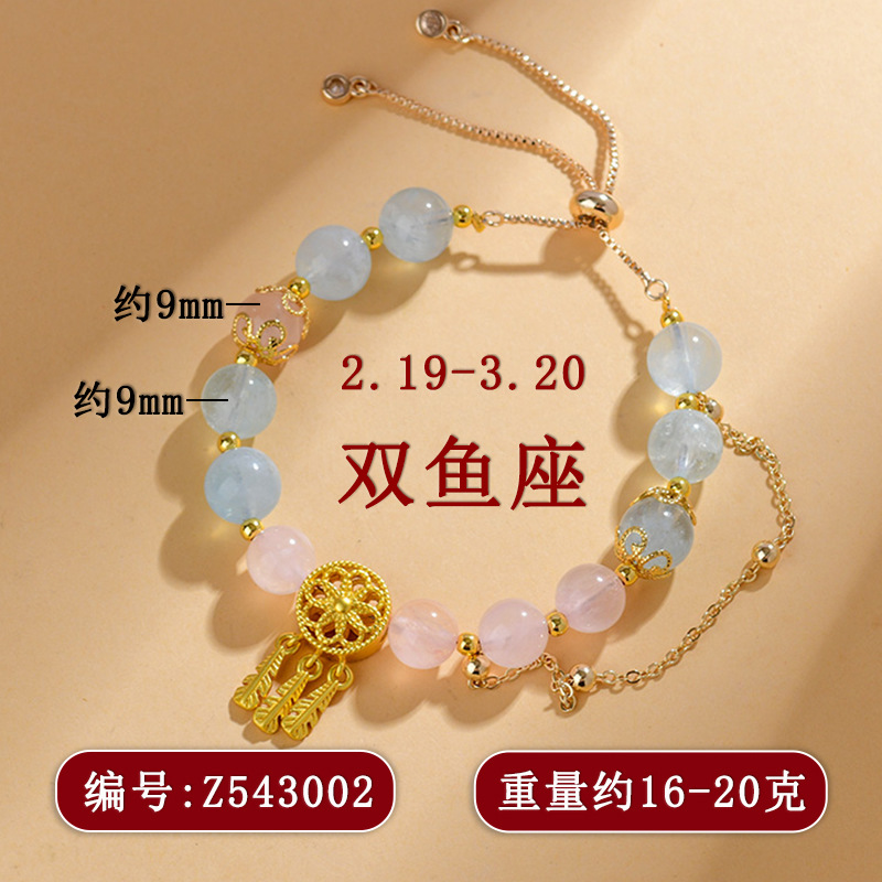 Z543 물고기 자리 2.19-3.20