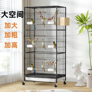 �B�\��ĵ���������B���ӄe����������^�p�\�Ӵ�ֳ�B�\
