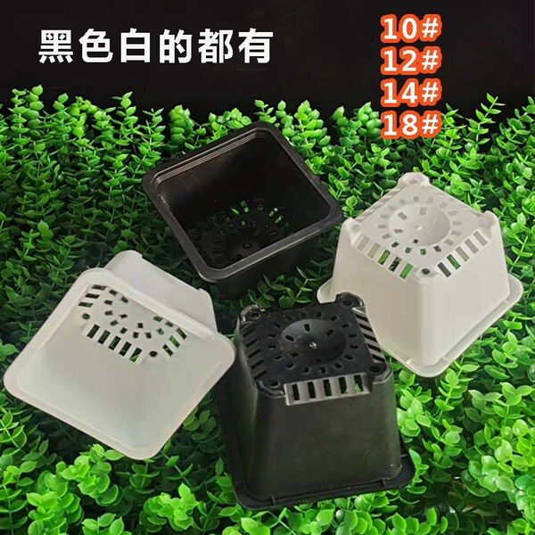 white black square flowerpot flower-shaped