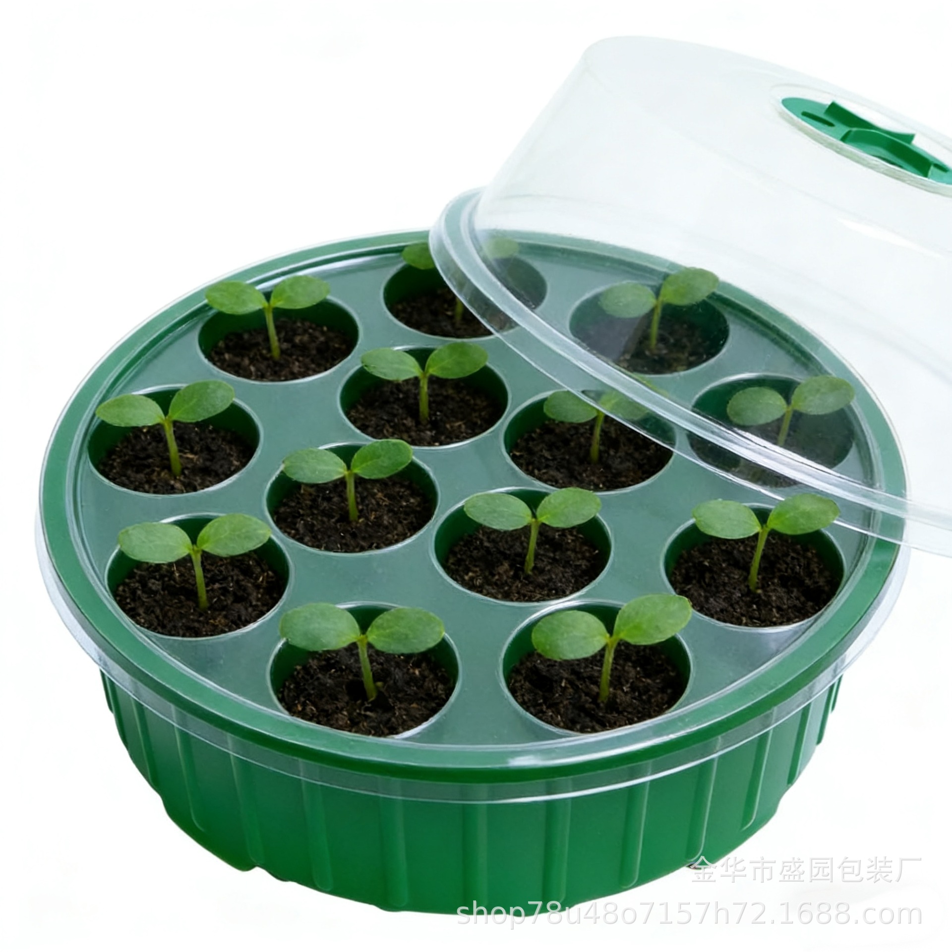 13-Hole Round Seedling Box for Home Garden Planting, Bean Sprouts, Flower Seedlings, Vegetable Planting, Cross-Border Gardening Cultivation 4