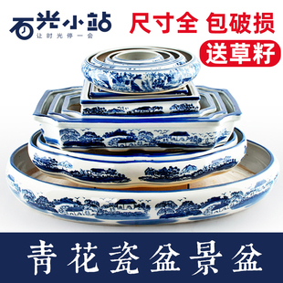 Absorbent stone base basin water stone rockery bonsai special basin narcissus copper money grass ceramic hydroponic blue and white porcelain flower austria