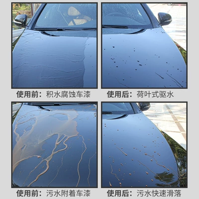 Car Paint Maintenance Liquid, Enhances – Cleaning/curing agent