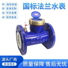 湿式大口径校检工程冷水表3寸4寸 水平螺翼式法兰水表 LXL-80/100