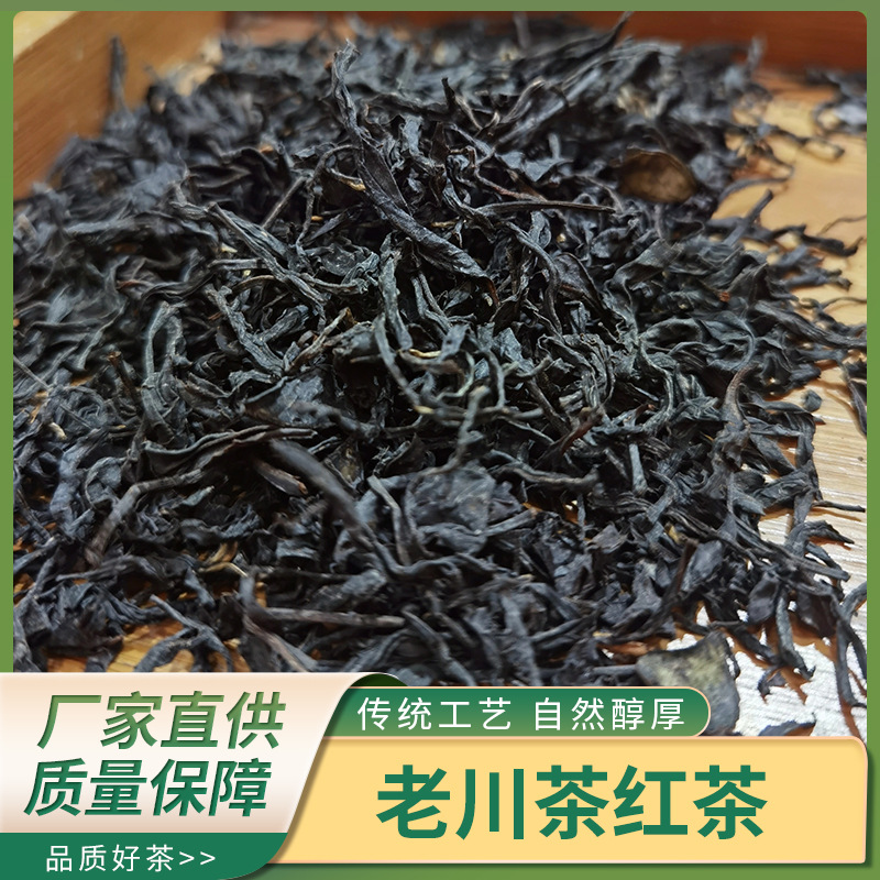 四川雅安蒙顶山茶老川茶红茶 2026年新茶厂家批发