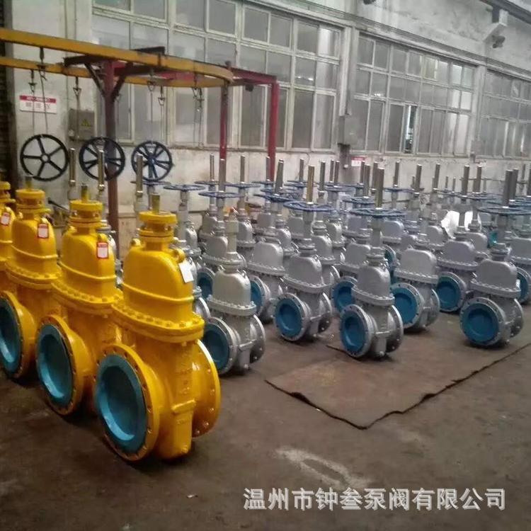 Z43F-25C 带导流孔平板闸阀 DN250 石油明杆平行式闸阀 Z43F