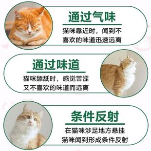 ?�؈�����LЧ���X���I�s؈��܇��ș�����Ұ؈��