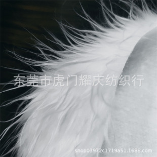 �Ұ�ɫƯ����ˮë�L��ë�º���ë�Lë�q����ë�q�}�Q���Ϻ���E18