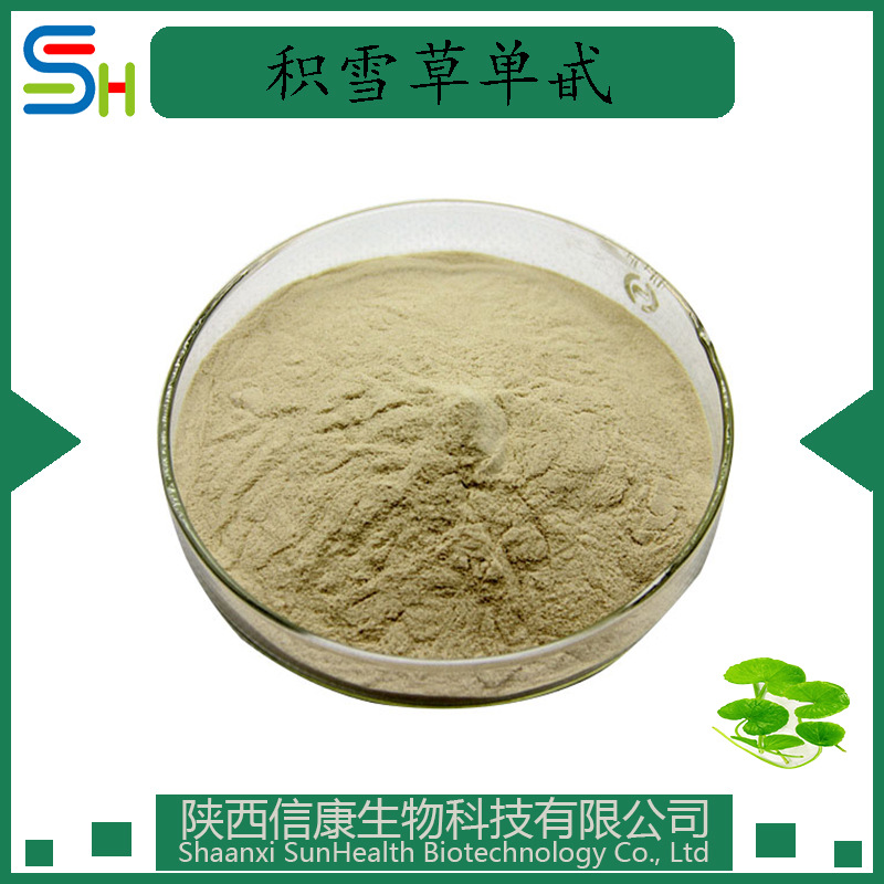 积雪草提取物 10%积雪草单甙HPLC检测 厂家现货量大从优 信康生物