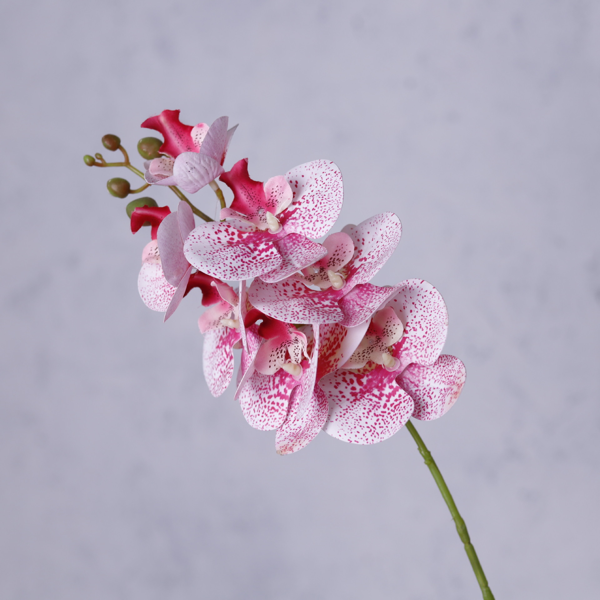 Impresión 3D de 7 cabezas de orquídeas mariposa flor de decoración de flores de alto nivel flor de nicho decoración floral decoración de sala de estar