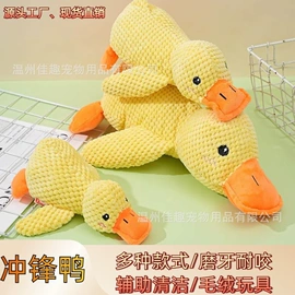 猫猫玩具;狗狗玩具;宠物梳子