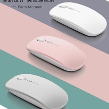 �o������m����Pӛ�������o���ɳ���{��4.0�O���A����X����