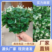 ĵ�����տ��ٻ����͏d������ˇ�b[�������҃ȷ���Gֲ���滨