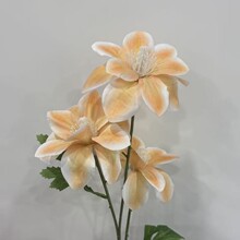 3�^���m���滨���߼���Ʒ��c�b廨���Ż�Y�üٻ��羳���l
