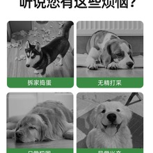 ���������߅�����������ë�»�Ӗ��������ҧ�l��K����Ʒ