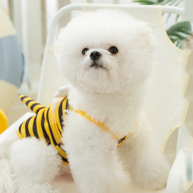 Perro de verano lindo traje de baño en forma de abeja cabestrillo gato traje de baño de dos piernas bikini para mascotas ropa de perro de peluche