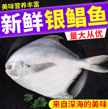 ���l������K�~ Ұ��С�K�~ ƽ�~���~����ƽ�~С�ׂ}�~5���b