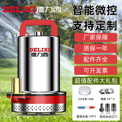 Delixi 家庭用ウォーターポンプ全自動吸引不凍液インテリジェントデザイン小型ウォーターポンプ 220V 水中ポンプ