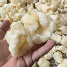 爆花胶斗湖胶 小龙胶 发好花胶 盘菜食材 泡发鱼肚酒店婚宴佛跳墙