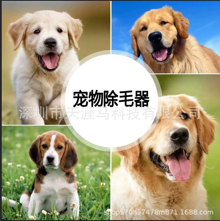 Кисть для удаления волос для домашних животных Кисть для удаления волос Кисть для удаления волос Кисть для удаления волос