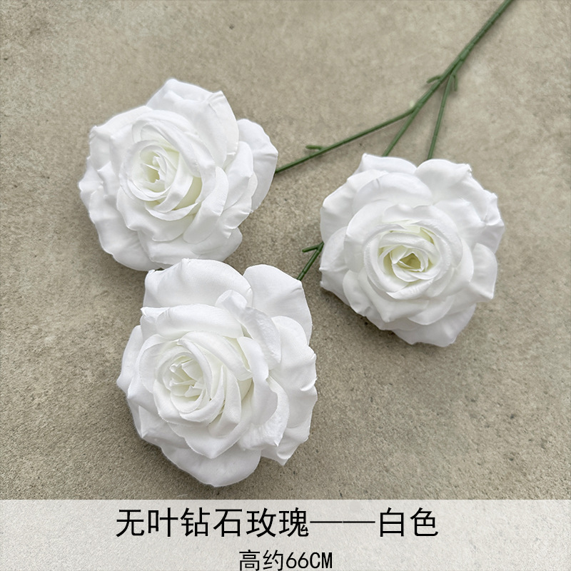 Rosa de diamante blanco