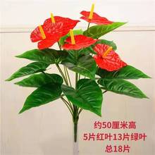 �Gֲ�t��õ�廨�ٻ��͏d�bGɫֲ����ؼٻ����Ԕ[�O�G�}С